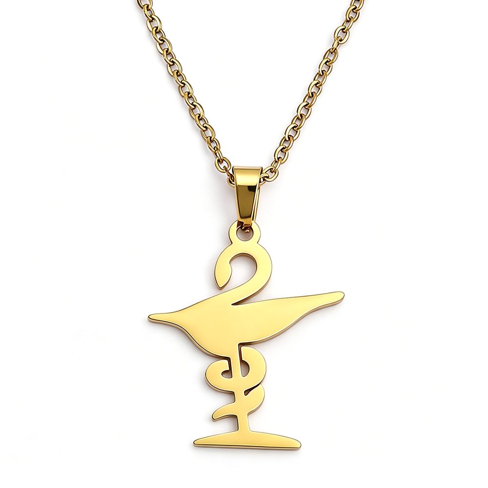 Bowl of Hygieia Necklace, Phar - Steel Chain recension och pris